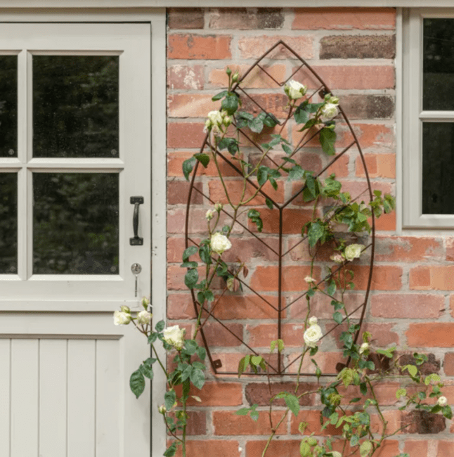 Ivyline Outdoor Leaf Trellis