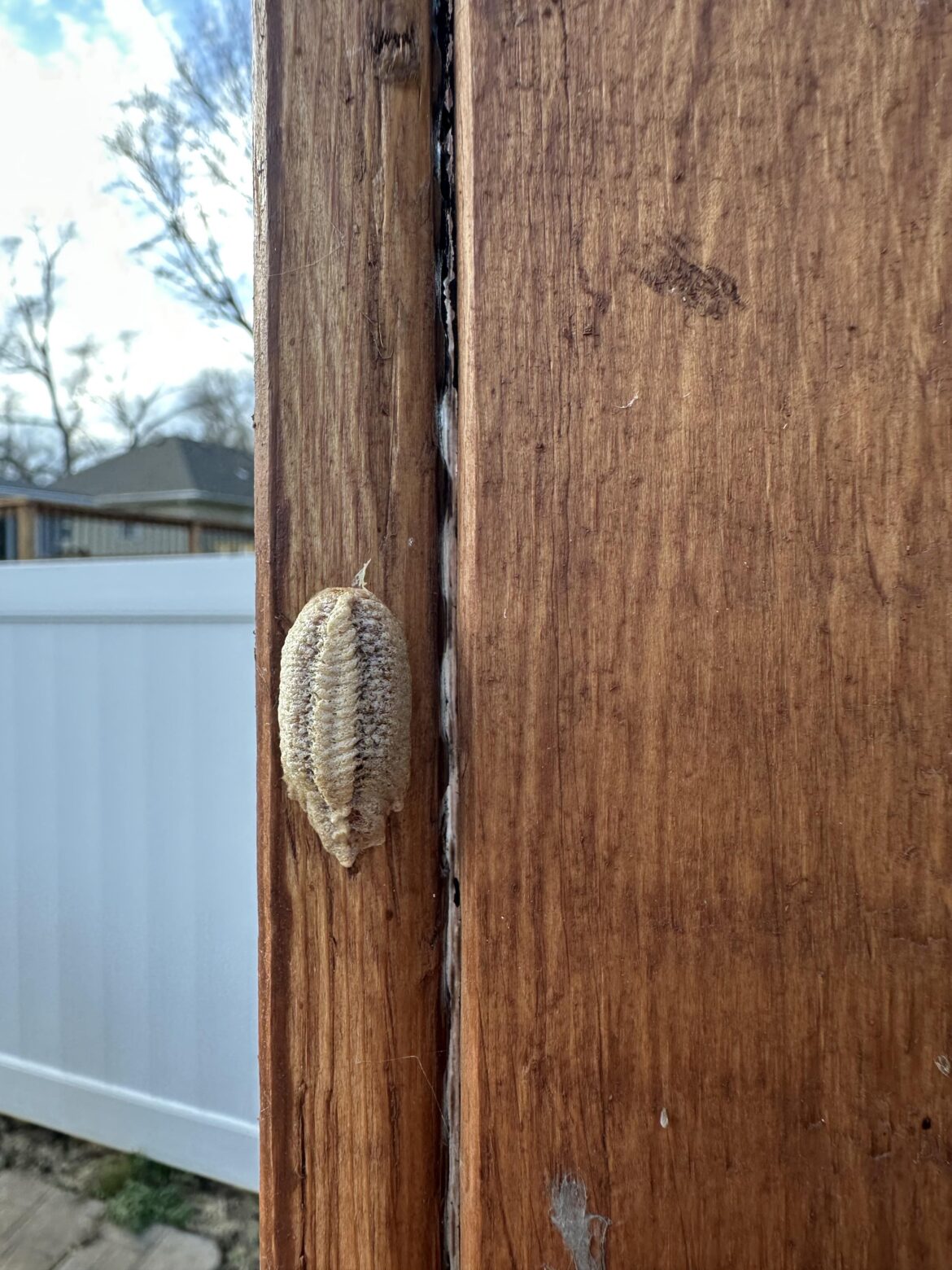 What is this?