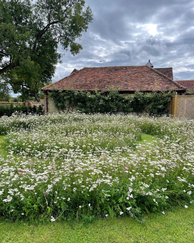 Woodland Groundcover Carpet