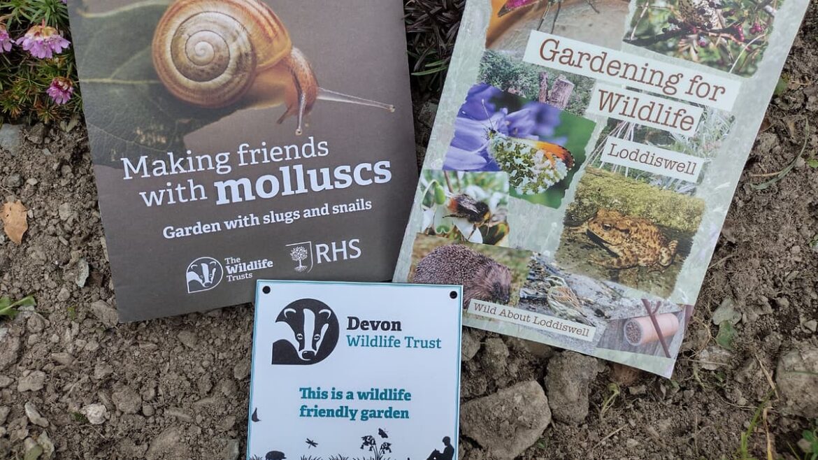 Wildlife gardening: Fiona van Es shares her checklist success