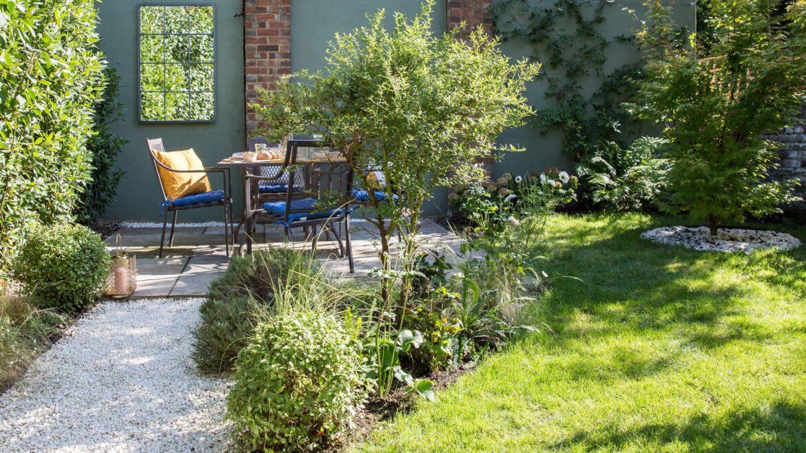 The biggest reason why your grass seed isn't growing
