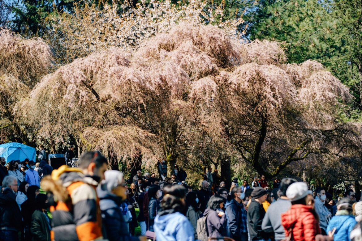 When is the 2026 Sakura Days Japan Fair in Vancouver? When is the 2026 Sakura Days Japan Fair in Vancouver?
