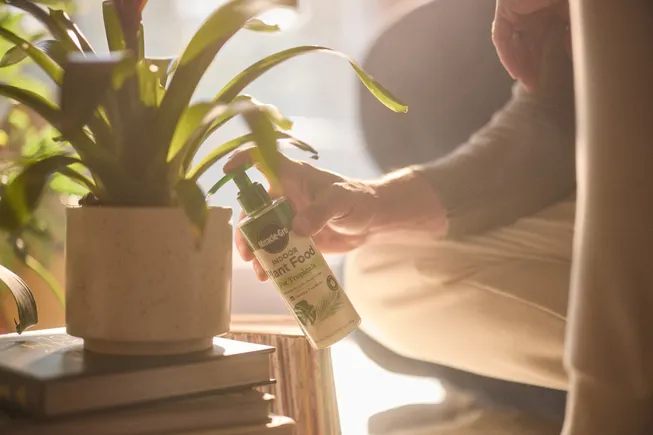 How Scotts Miracle-Gro evolves marketing as gardening goes year-round How Scotts Miracle-Gro evolves marketing as gardening goes year-round