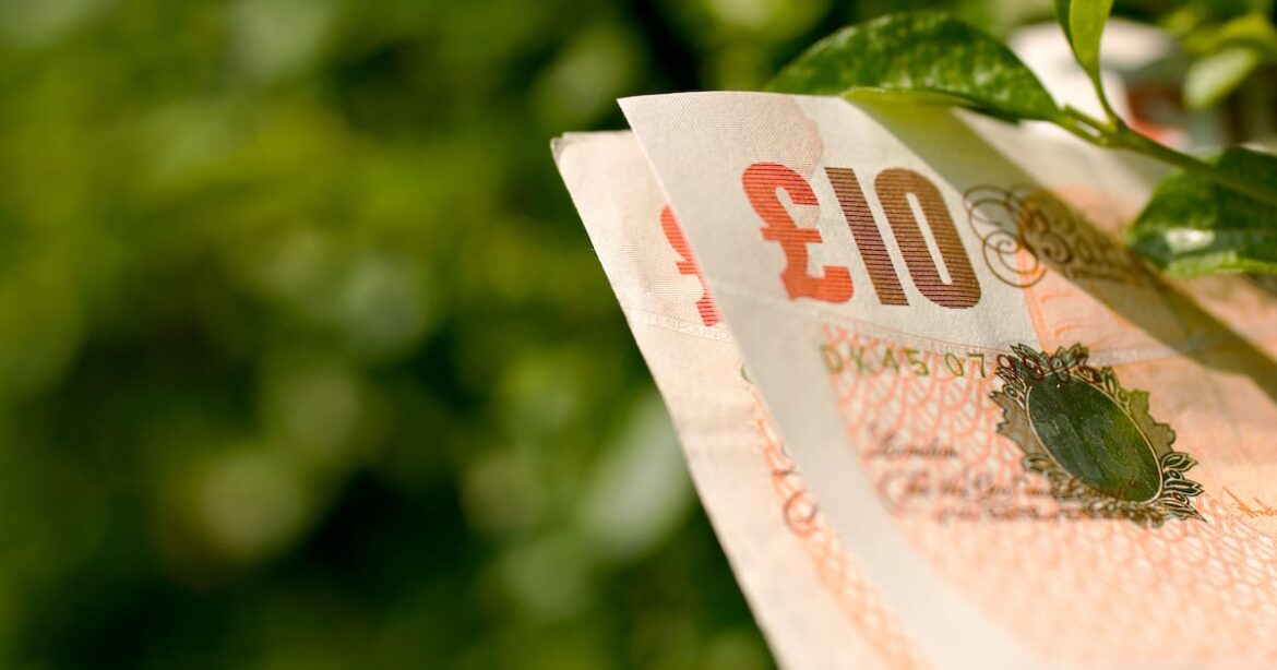 Money-saving tips for the thrifty gardener – The Irish News Money-saving tips for the thrifty gardener – The Irish News