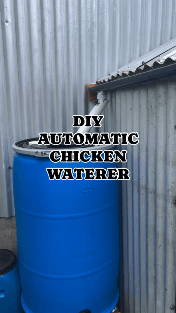 If you ever had chickens know how much of game changer this is