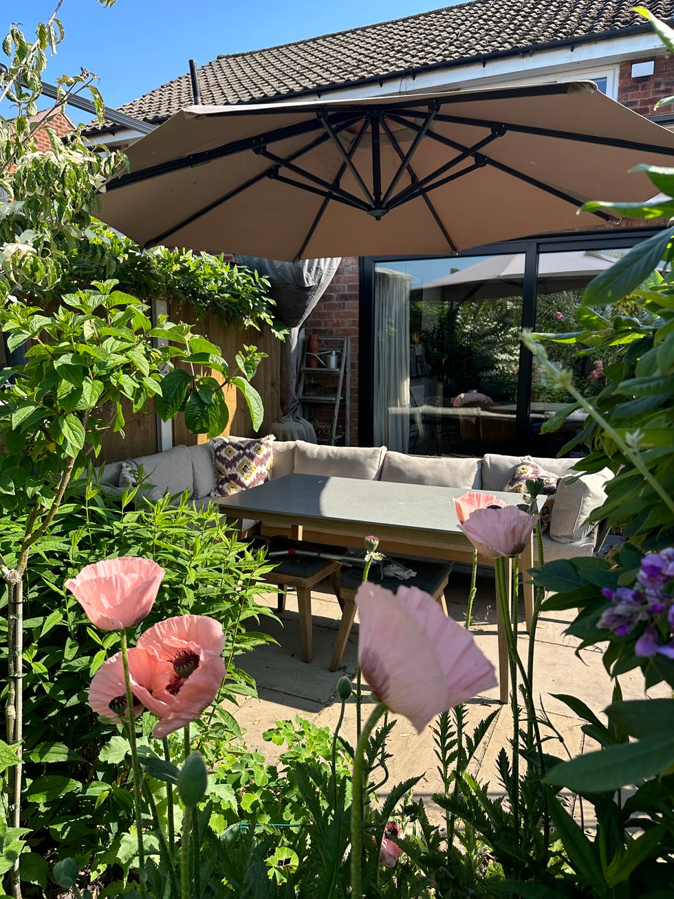 garden with multiple different zones including a lawn, and a patio with lush greenery and purple flowers a garden with purple flowers, a metal archway and tall evergreen trees