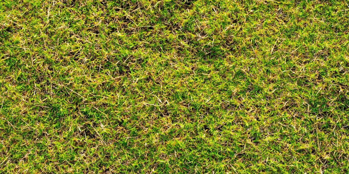 UK Gardeners Warned To Check For Footprints On Their Lawn