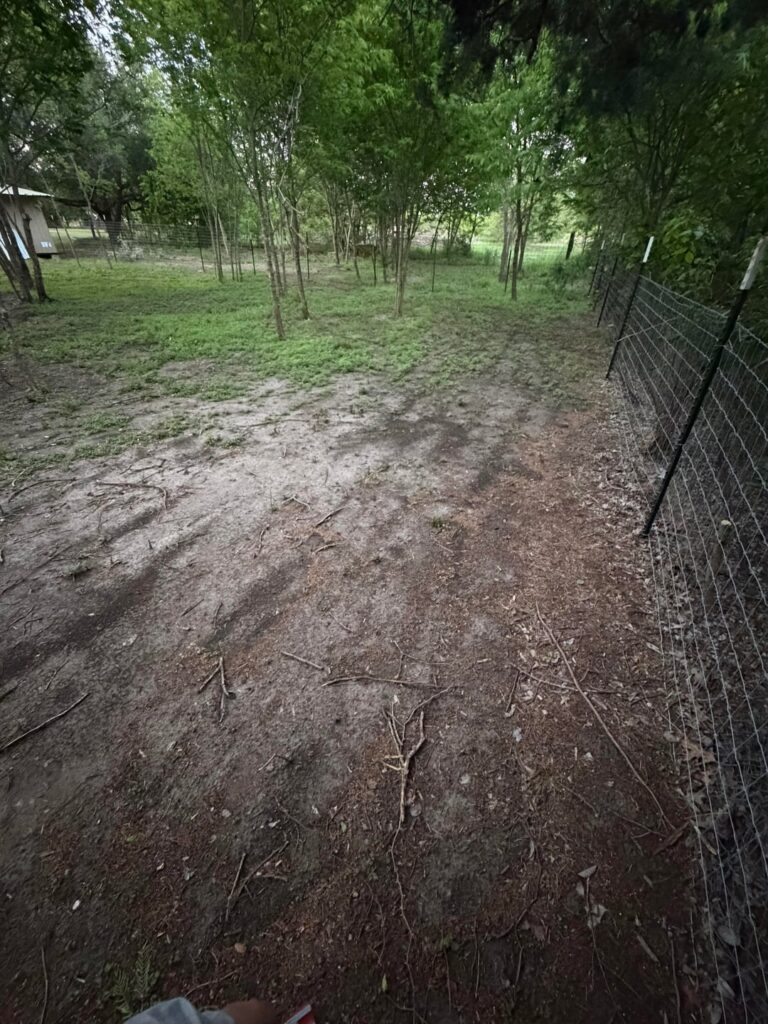 How to grow grass/kill keep weeds away How to grow grass/kill keep weeds away