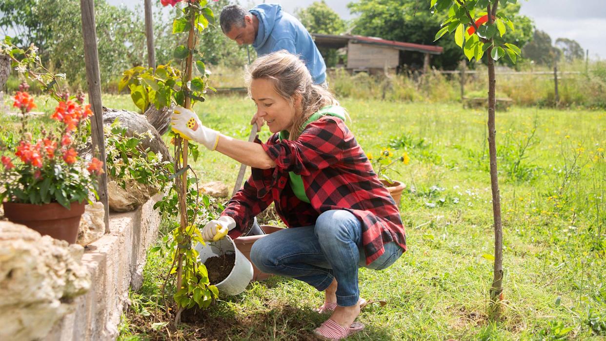 couple gardening