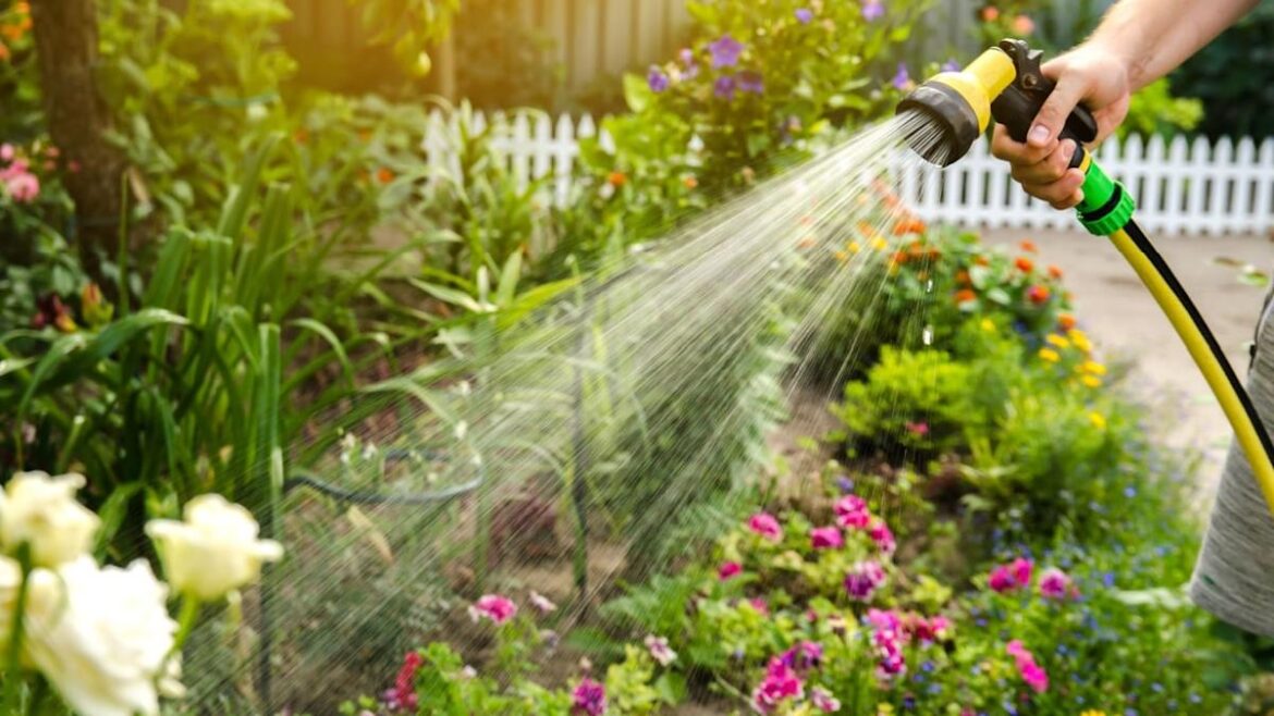 12 Garden Watering Mistakes That Are Quietly Killing Your Plants 12 Garden Watering Mistakes That Are Quietly Killing Your Plants