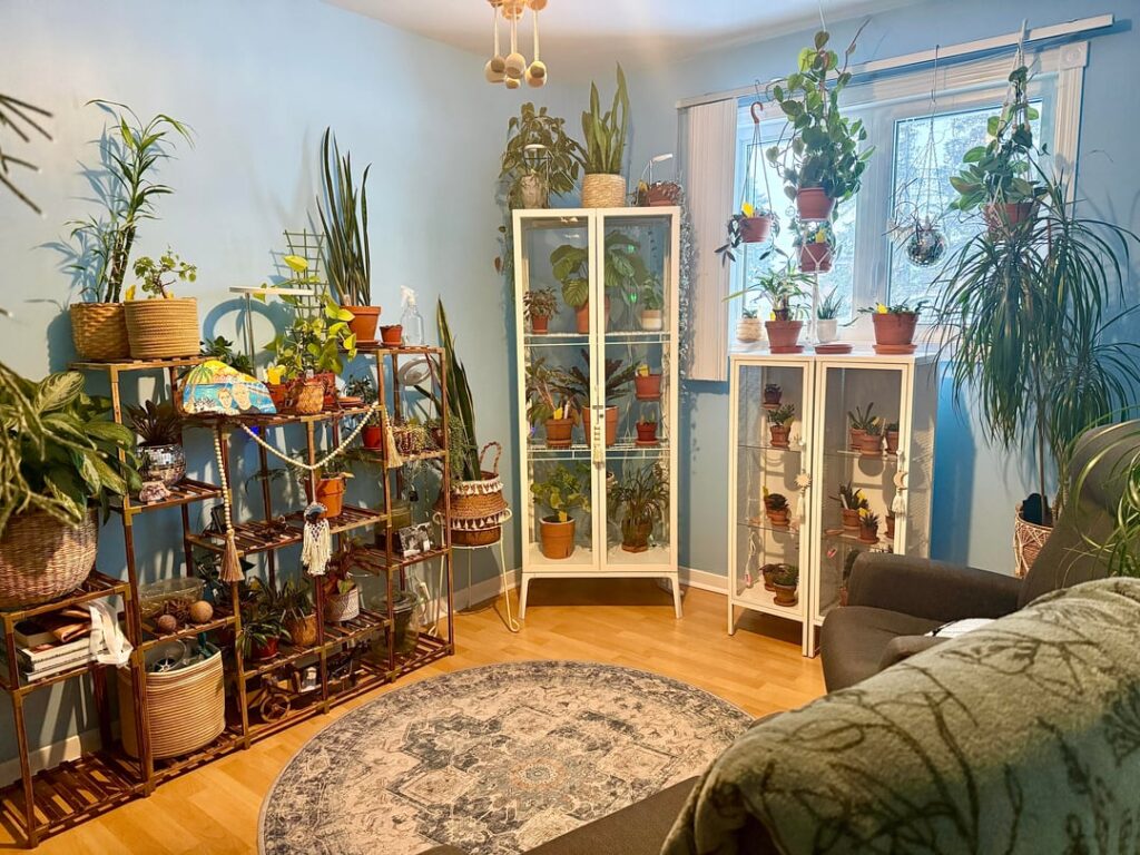 My green space! 🪴