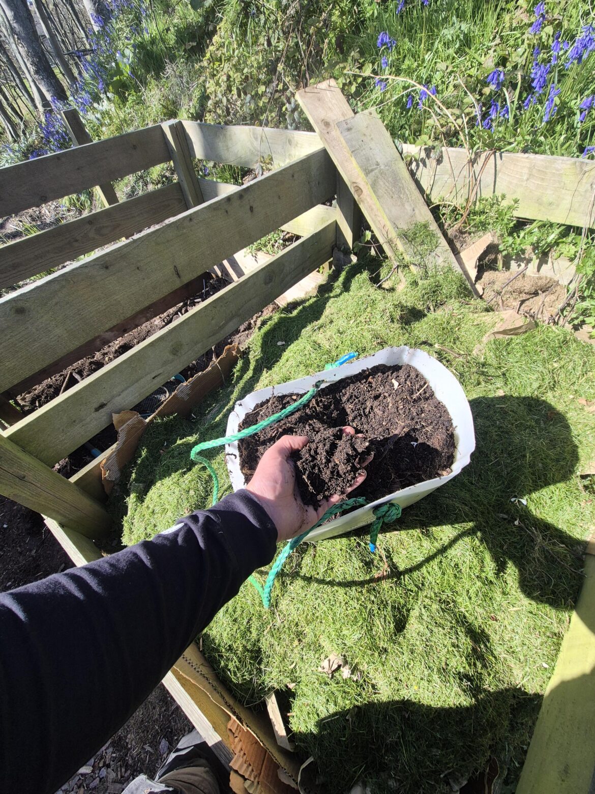 Last years compost on this year’s new pile. Last years compost on this year's new pile.