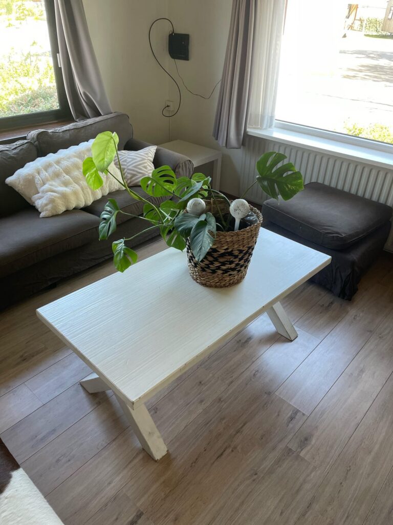 Help with a plant i’ve found in my new home