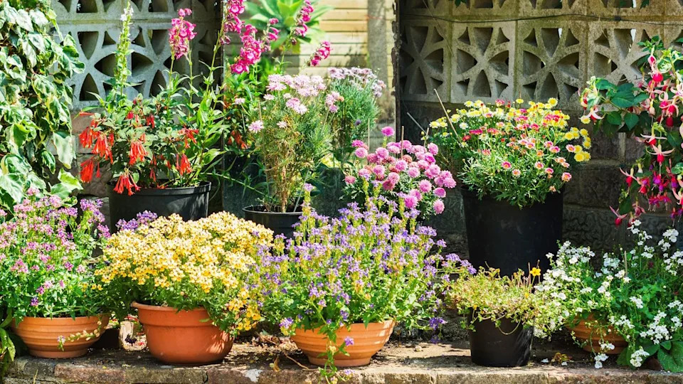  Spruce up spring containers for summer. 