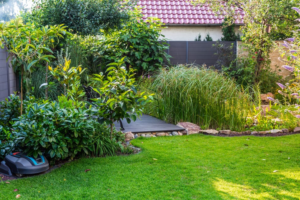 landscape view of beautiful garden with freshly mowed lawn and robotic lawn mower in charging station