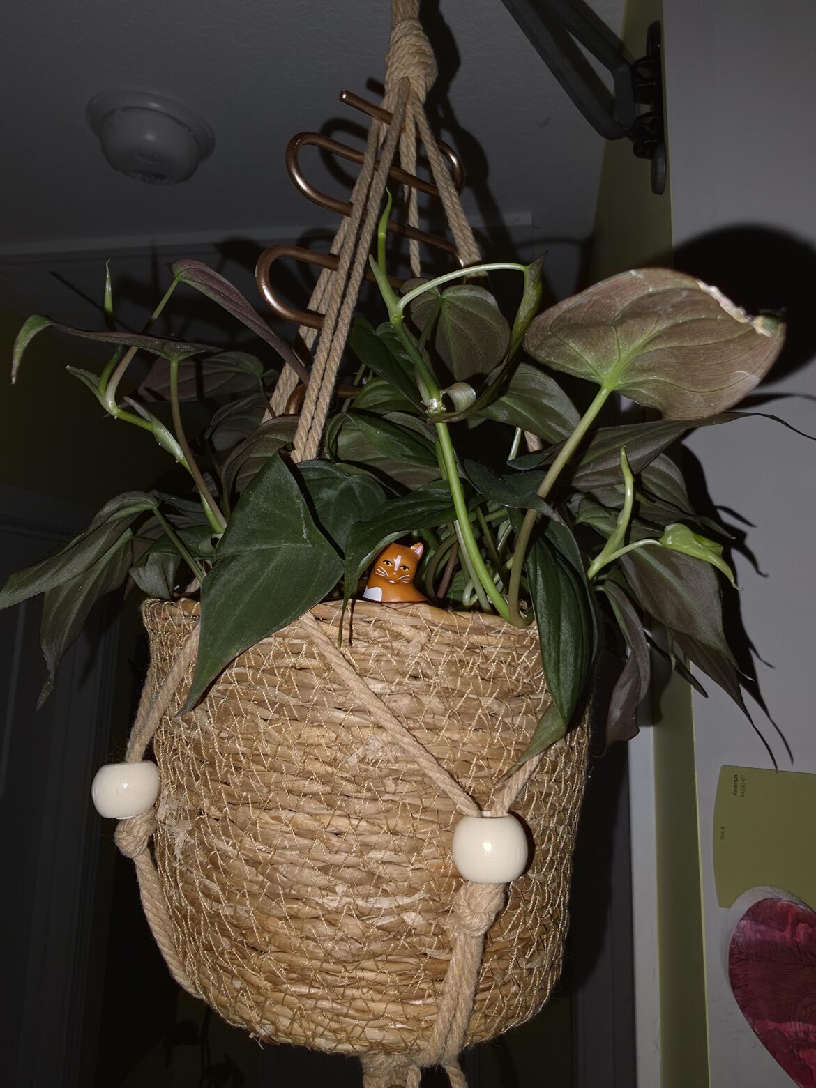 Anyone else put "trinkets" in their plants?