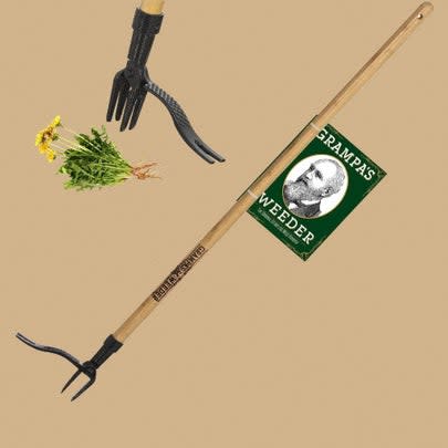 A popular standing weeder