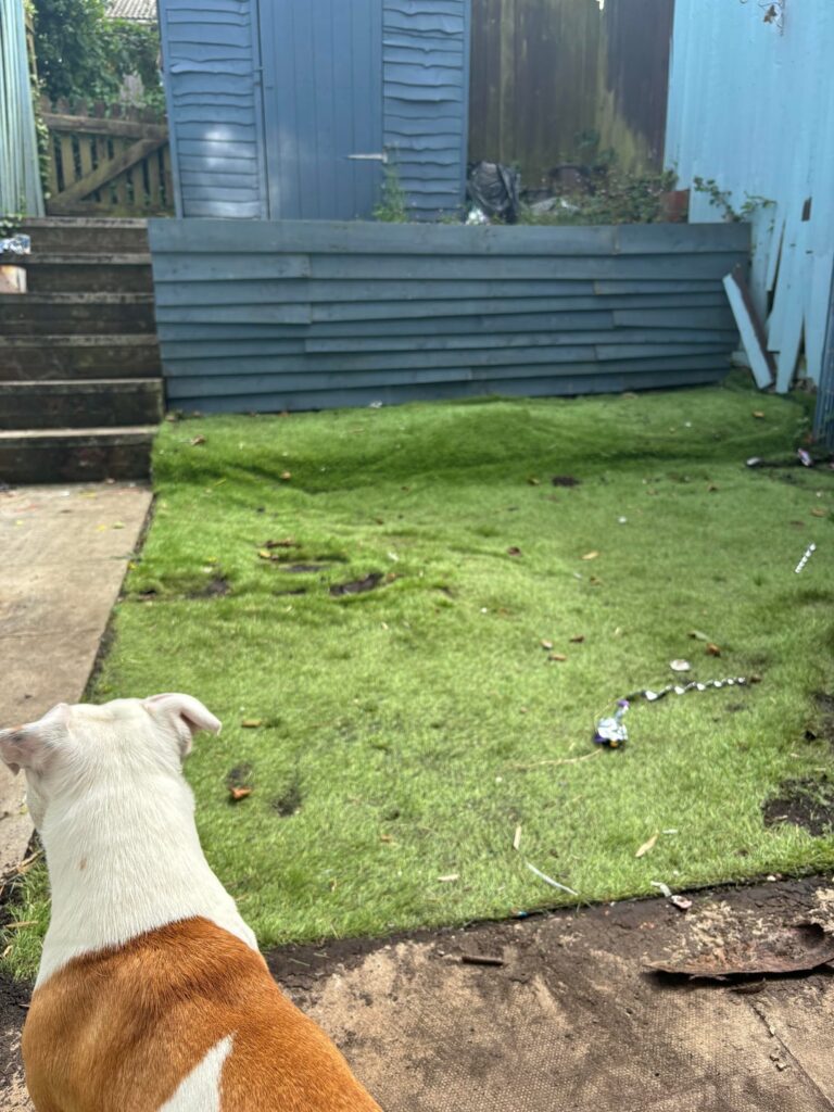 Another before and after - now it’s complete