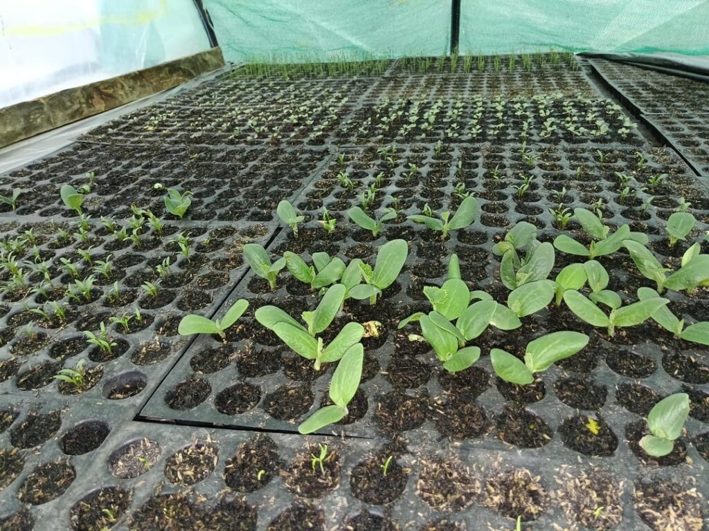 40 days and only lil progress....help me here