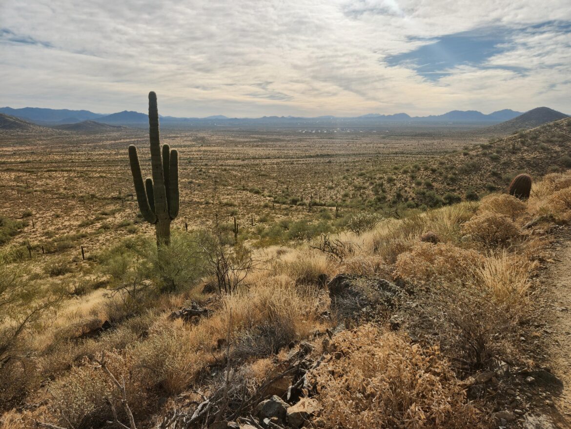 Sonoran Preserve - Arizona