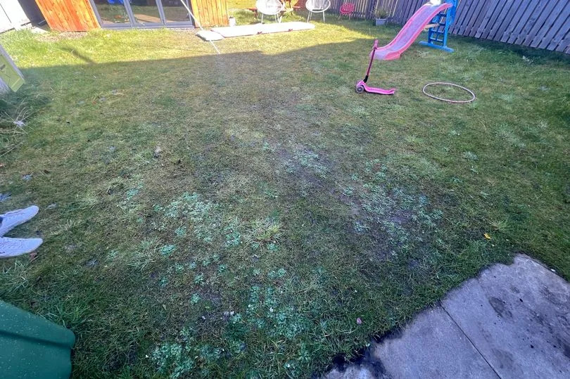 The garden has been left waterlogged.