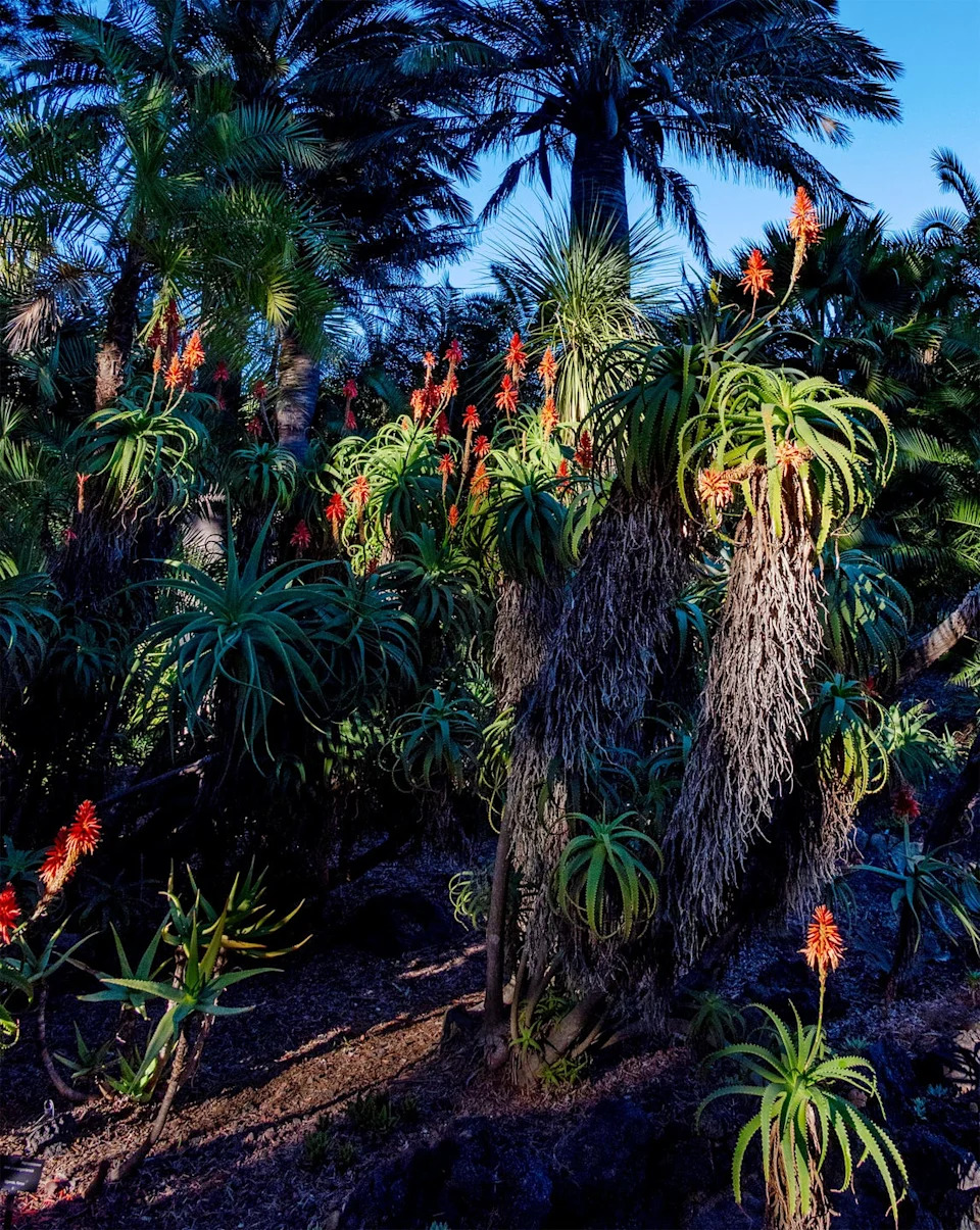 Photo credit: Lisa Eisner