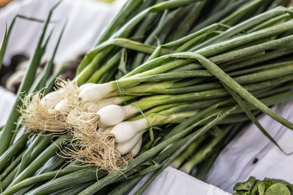 fast growing vegetables bundles of spring onions