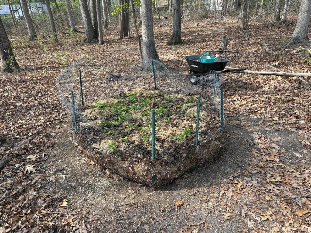 Should I have a second compost pile? Other advice? Tried to cold compost for over a year but going really slowly so looking to be more active with it now. Should I have a second compost pile? Other advice? Tried to cold compost for over a year but going really slowly so looking to be more active with it now.
