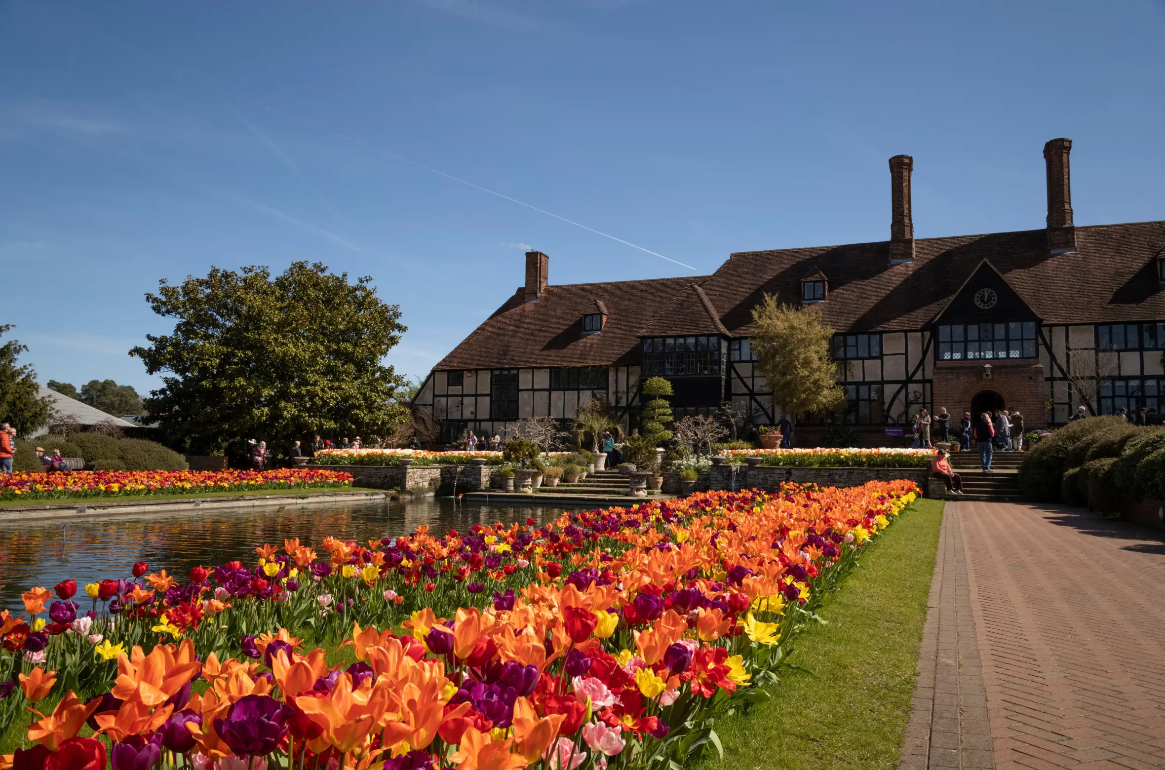 Rows of colorful tulips blooming beside a pond, with a large, traditional building in the background.