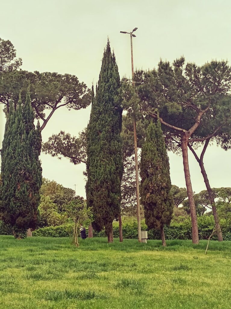 Me and my moderately sized cypress hedge....
