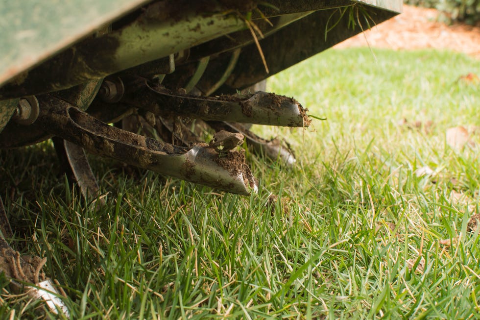 ways you're killing your lawn ways you're killing your lawn