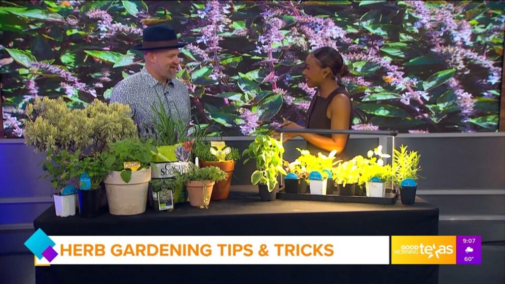 Herb Gardening Tips & Tricks