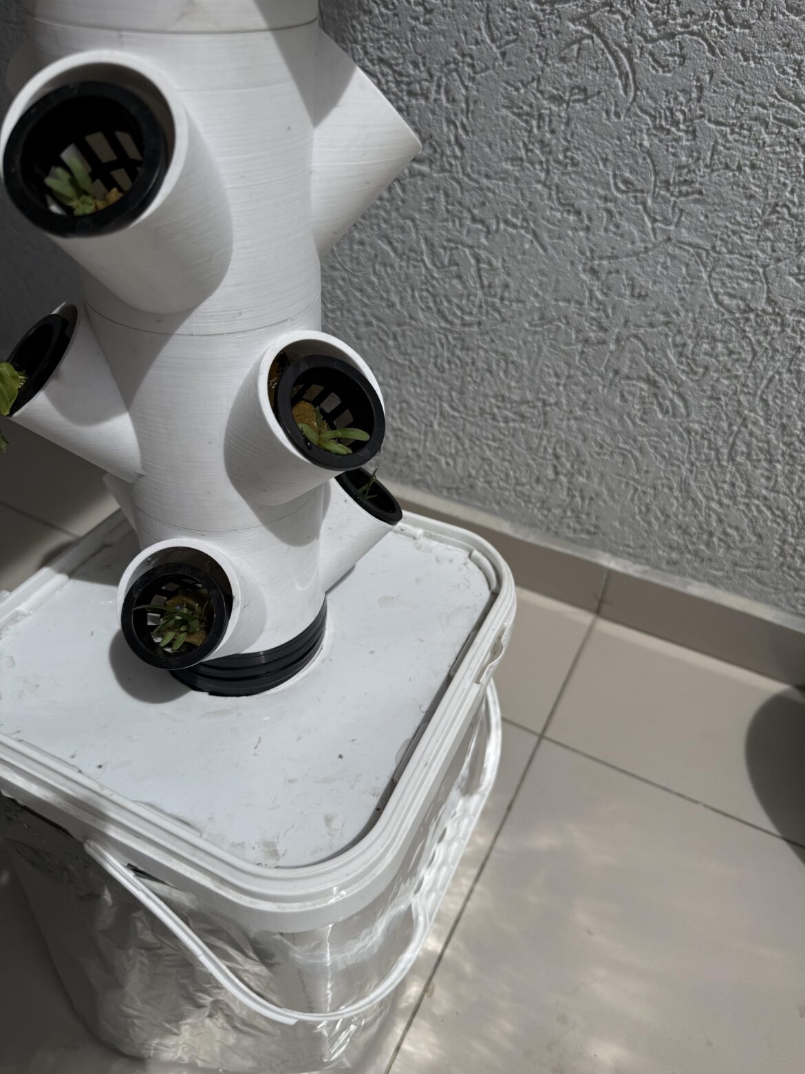 My first time of a vertical hydroponic