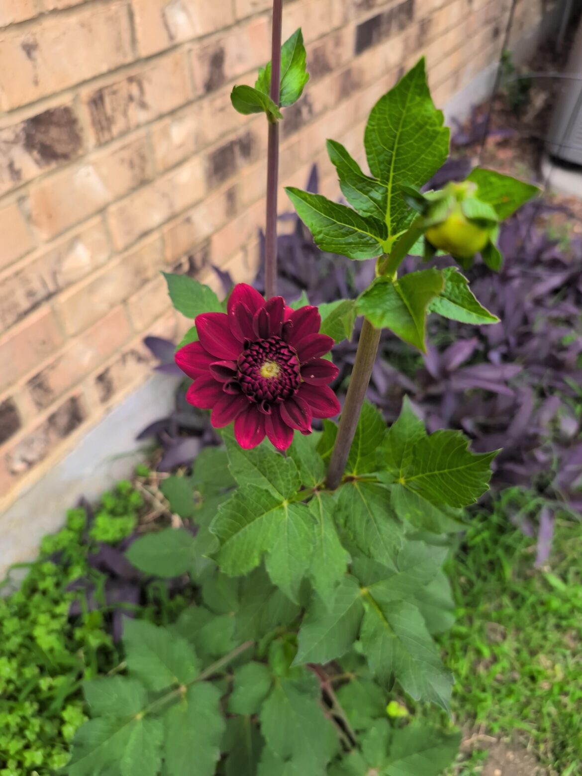 It's happening!