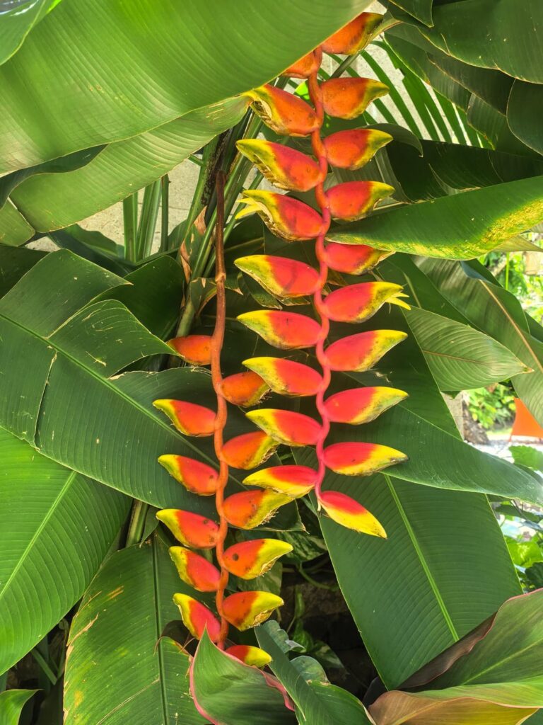 The beauties of the Bali trip