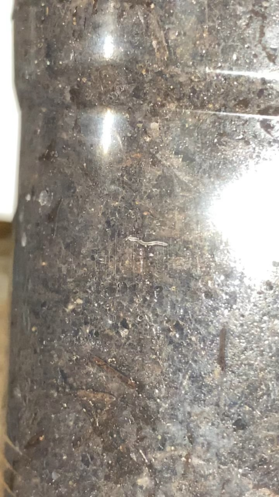 What is this?
