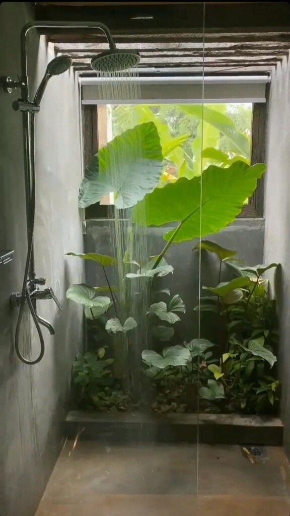 Would this cause a gnat infestation?