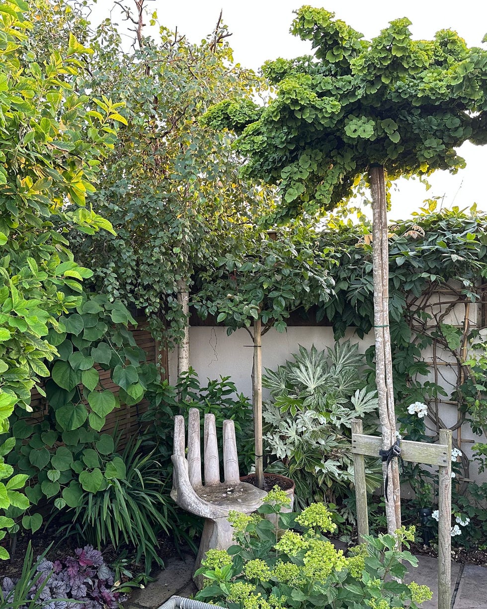 an evergreen garden with a statement hand chair in the corner a garden with purple flowers, a metal archway and tall evergreen trees