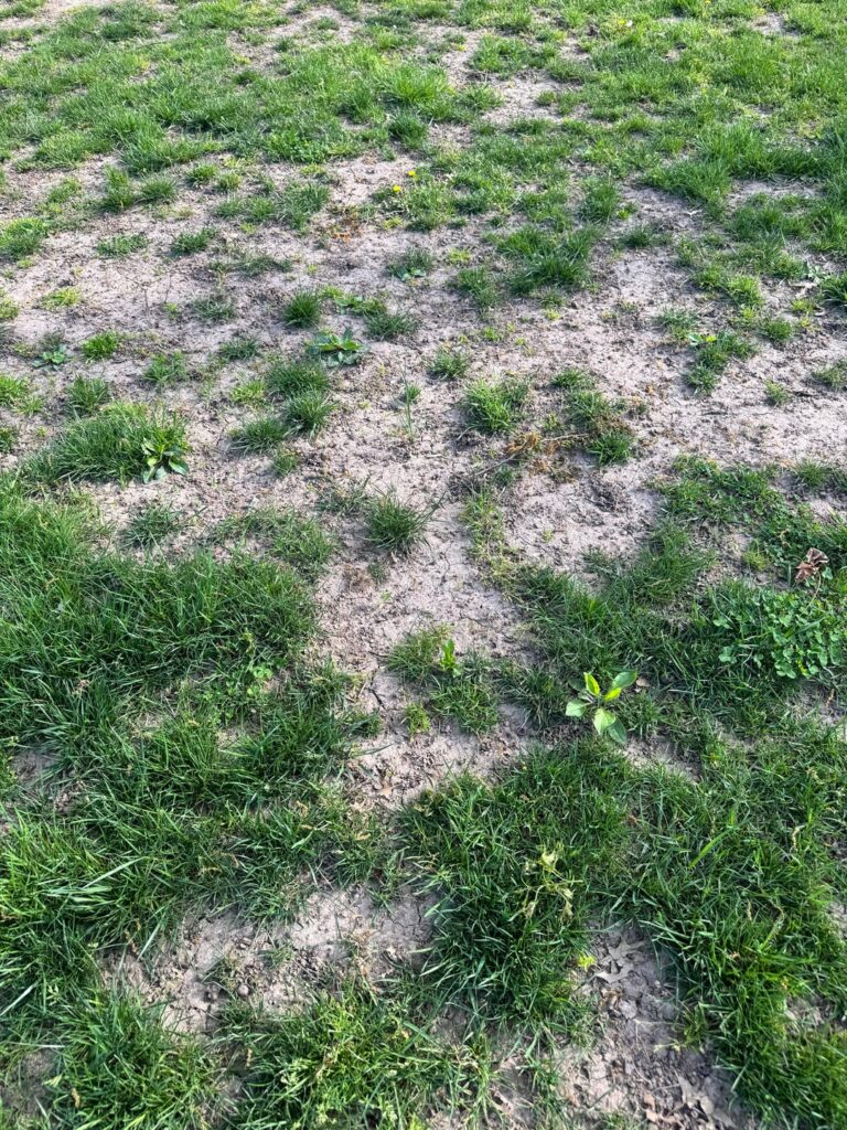 Help!!! Where to start?