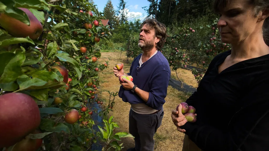 Zach Galifianakis in an apple orchard on f Netflix's This Is a Gardening Show