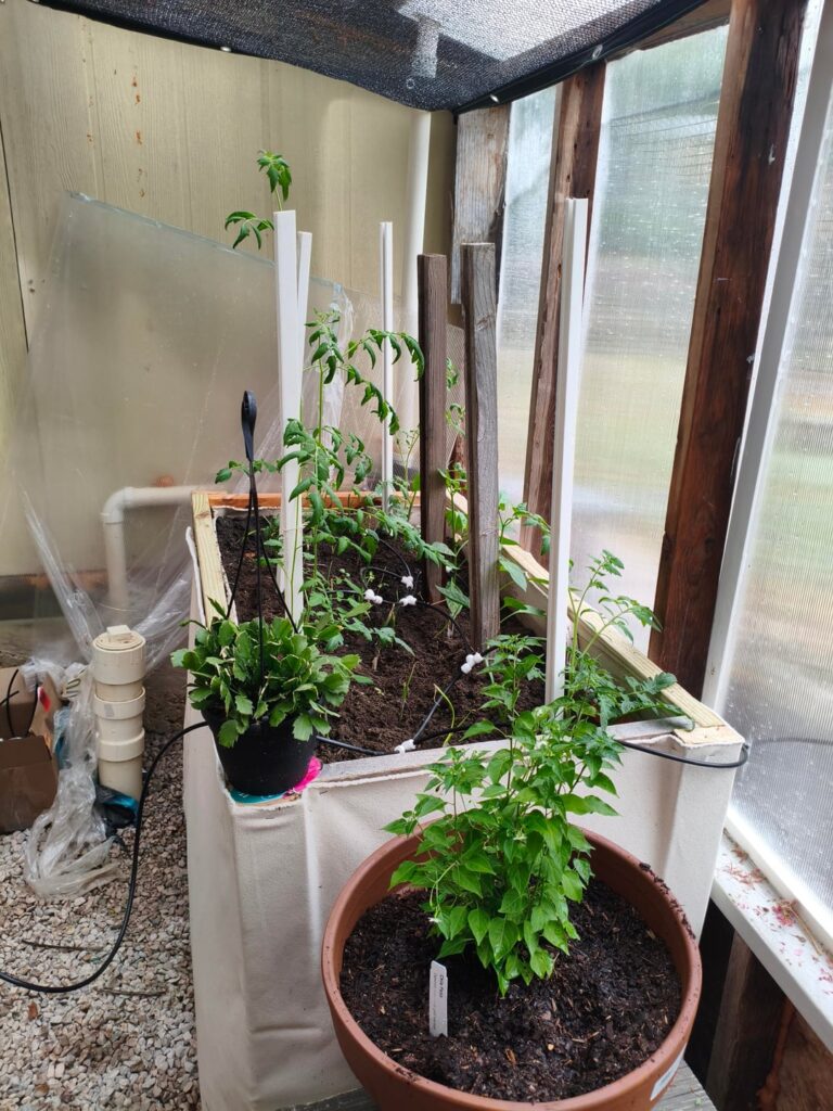 So Far, Mostly Okay, I think?