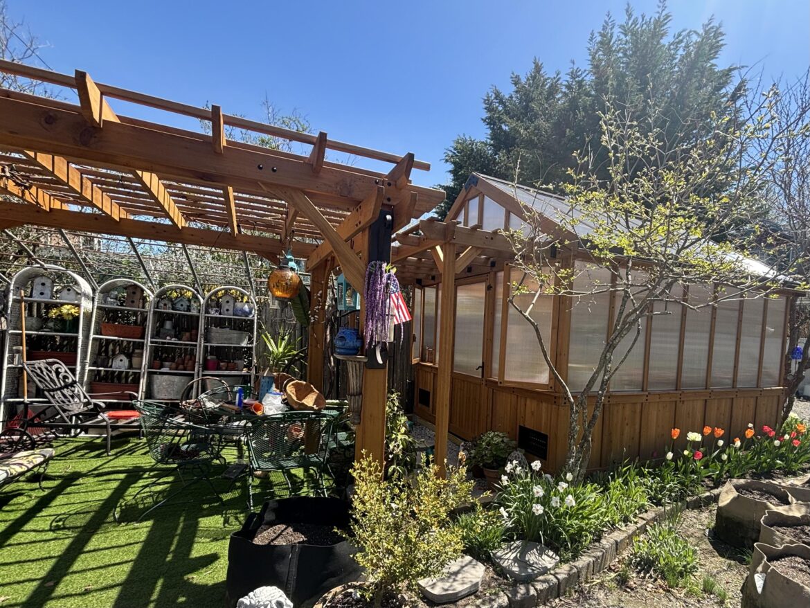 Bellerose XL + Beaumont pergola