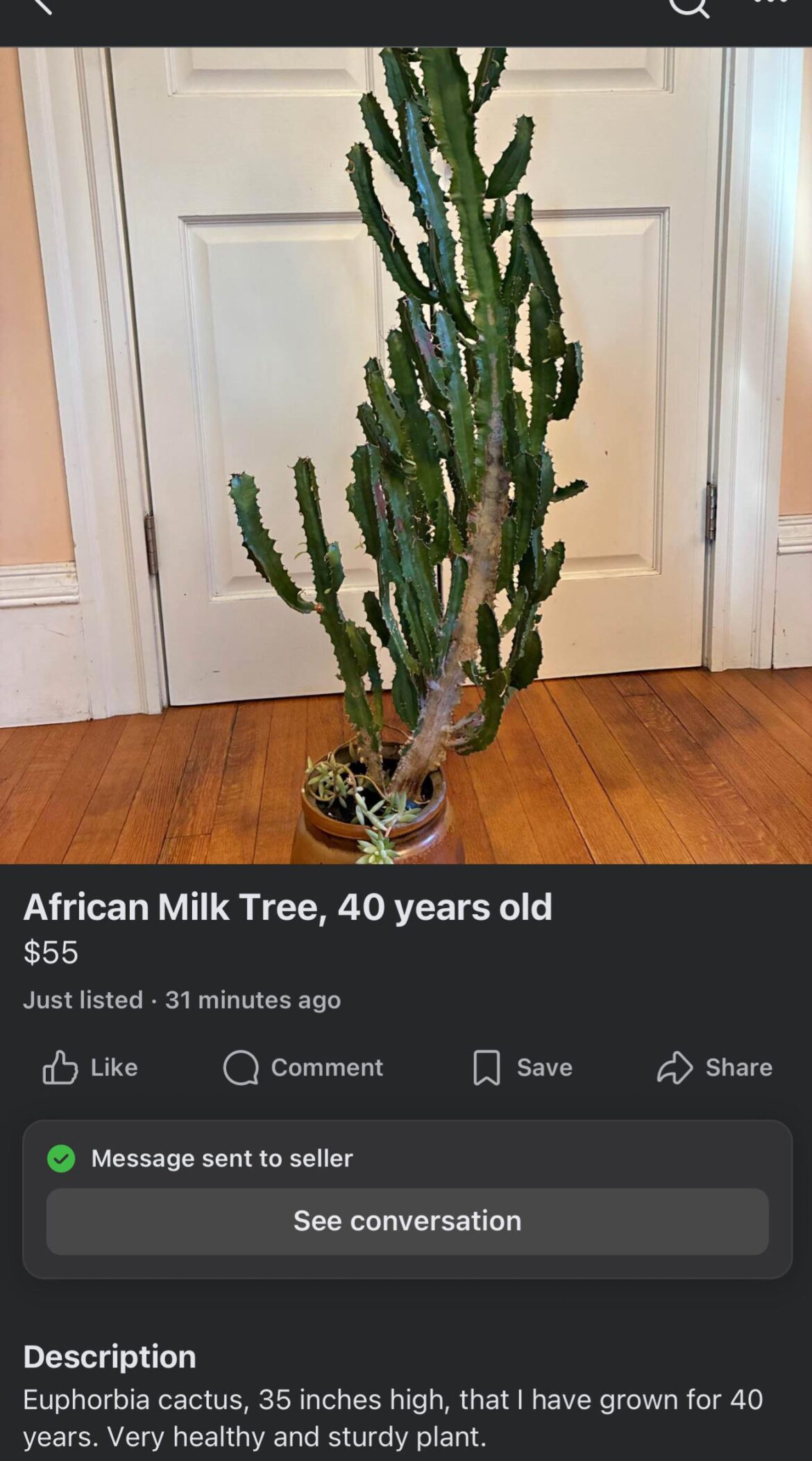 Chat is this a good deal?