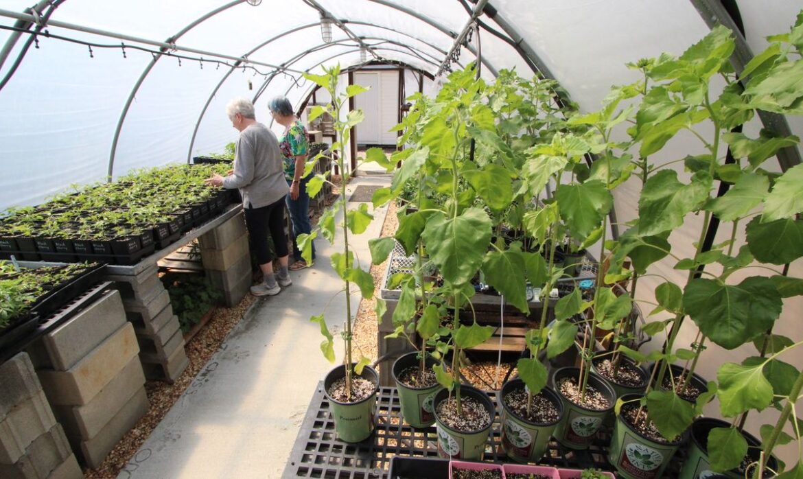 Get ready to plant garden after Saturday’s sale