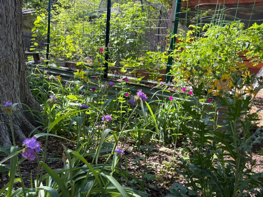 Favorite part of the garden (at the moment)