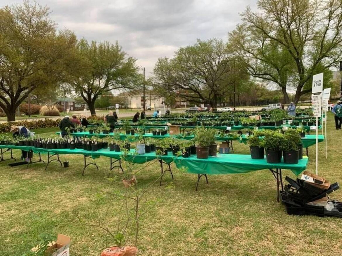 What To Expect At The 2026 Spring Plant Sale In Bossier City What To Expect At The 2026 Spring Plant Sale In Bossier City