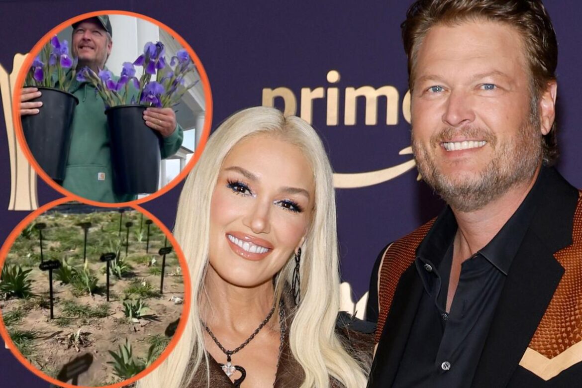 Blake + Gwen’s Garden Is Bigger Than Ever This Year Blake + Gwen's Garden Is Bigger Than Ever This Year