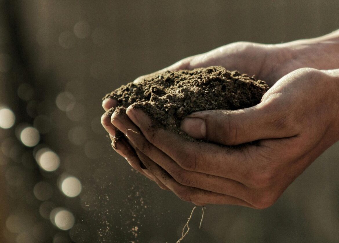 Tips For Improving Soil Health In Wyoming Gardens Tips For Improving Soil Health In Wyoming Gardens