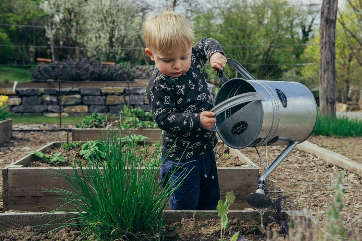 Get Ready For The Minnehaha Master Gardeners’ Plant Sale Get Ready For The Minnehaha Master Gardeners' Plant Sale
