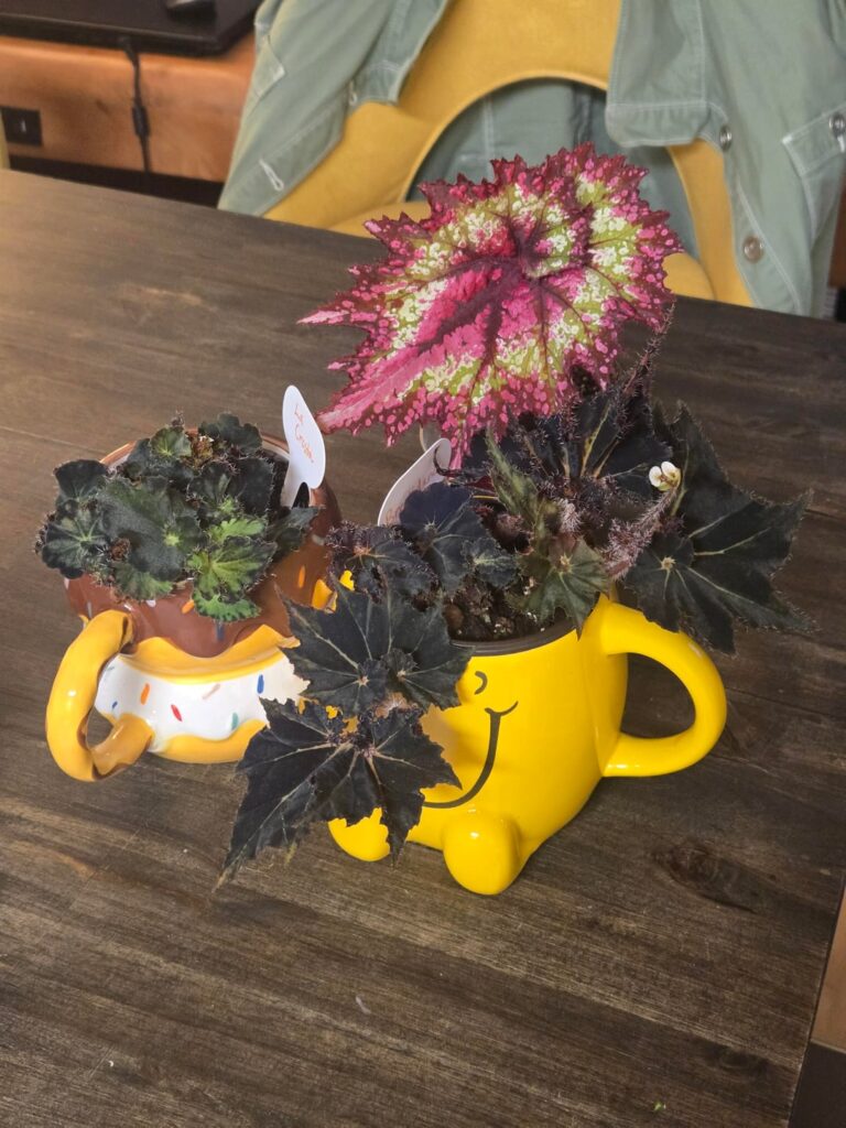 Back from the brink!
